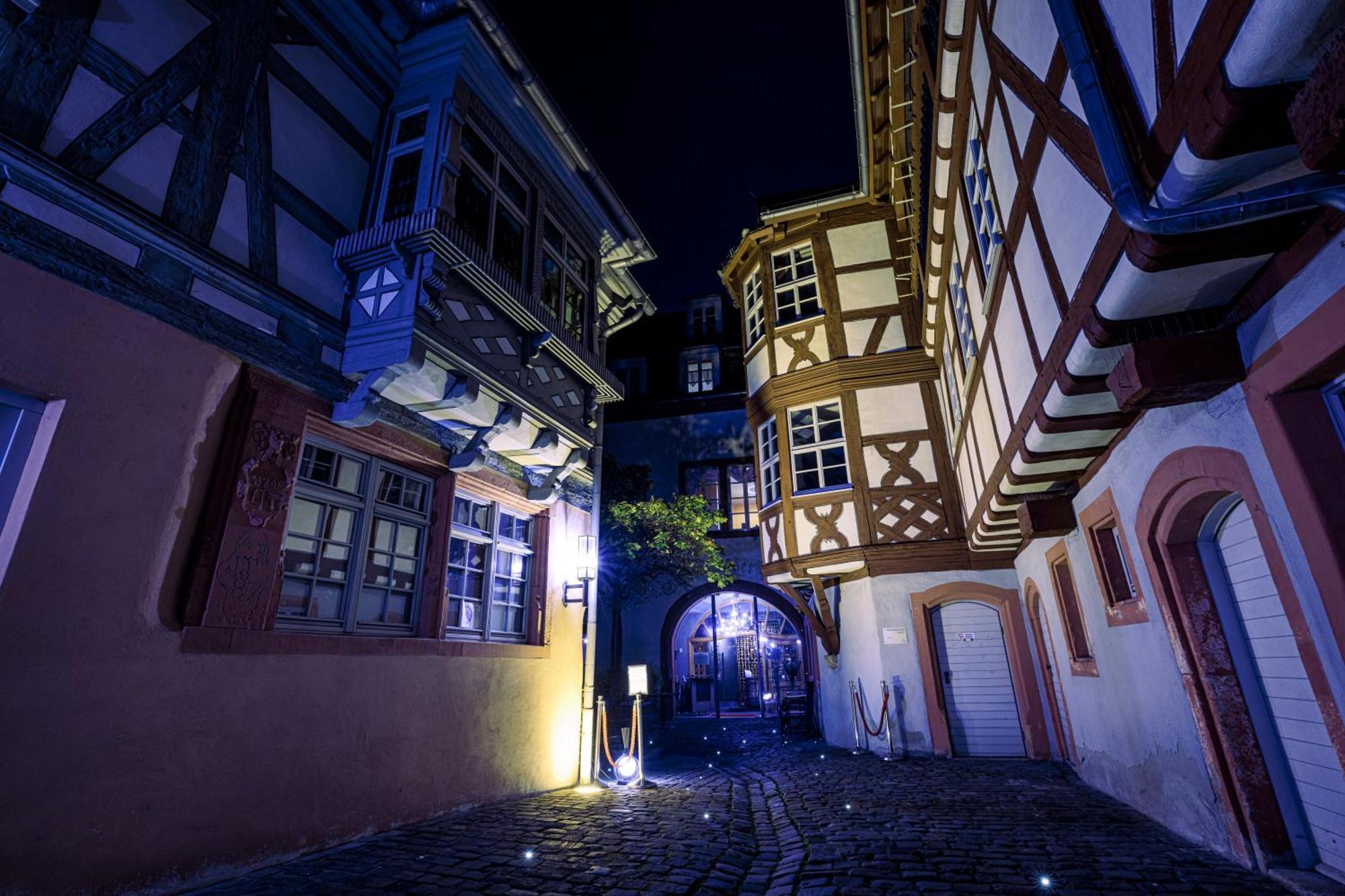 Steinhaeuser Hof Neustadt an der Weinstraße エクステリア 写真