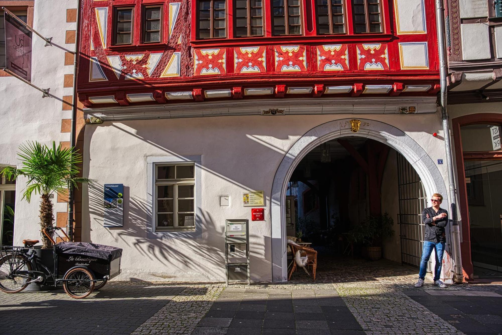 Steinhaeuser Hof Neustadt an der Weinstraße エクステリア 写真