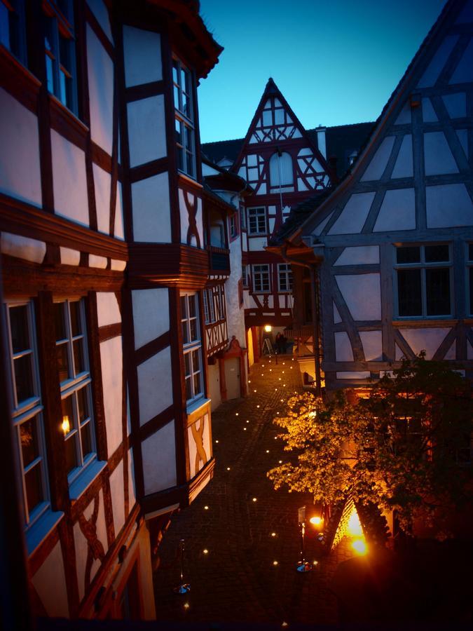 Steinhaeuser Hof Neustadt an der Weinstraße エクステリア 写真