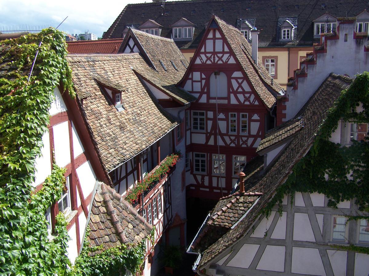 Steinhaeuser Hof Neustadt an der Weinstraße エクステリア 写真
